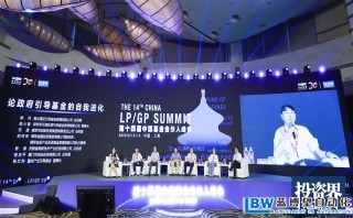 2020年,政府引導(dǎo)基金如何投GP
